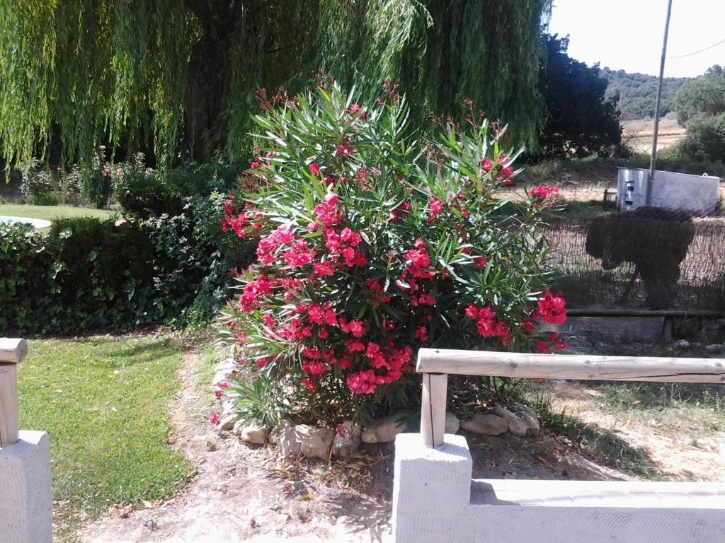 Hostal Rural Venta La Vega Ronda Exterior photo